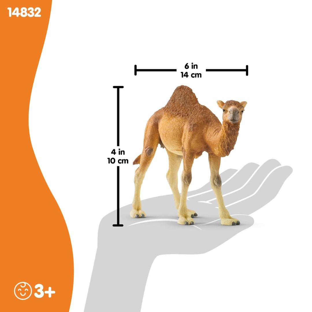 Schleich Wild Life Dromedary 14832