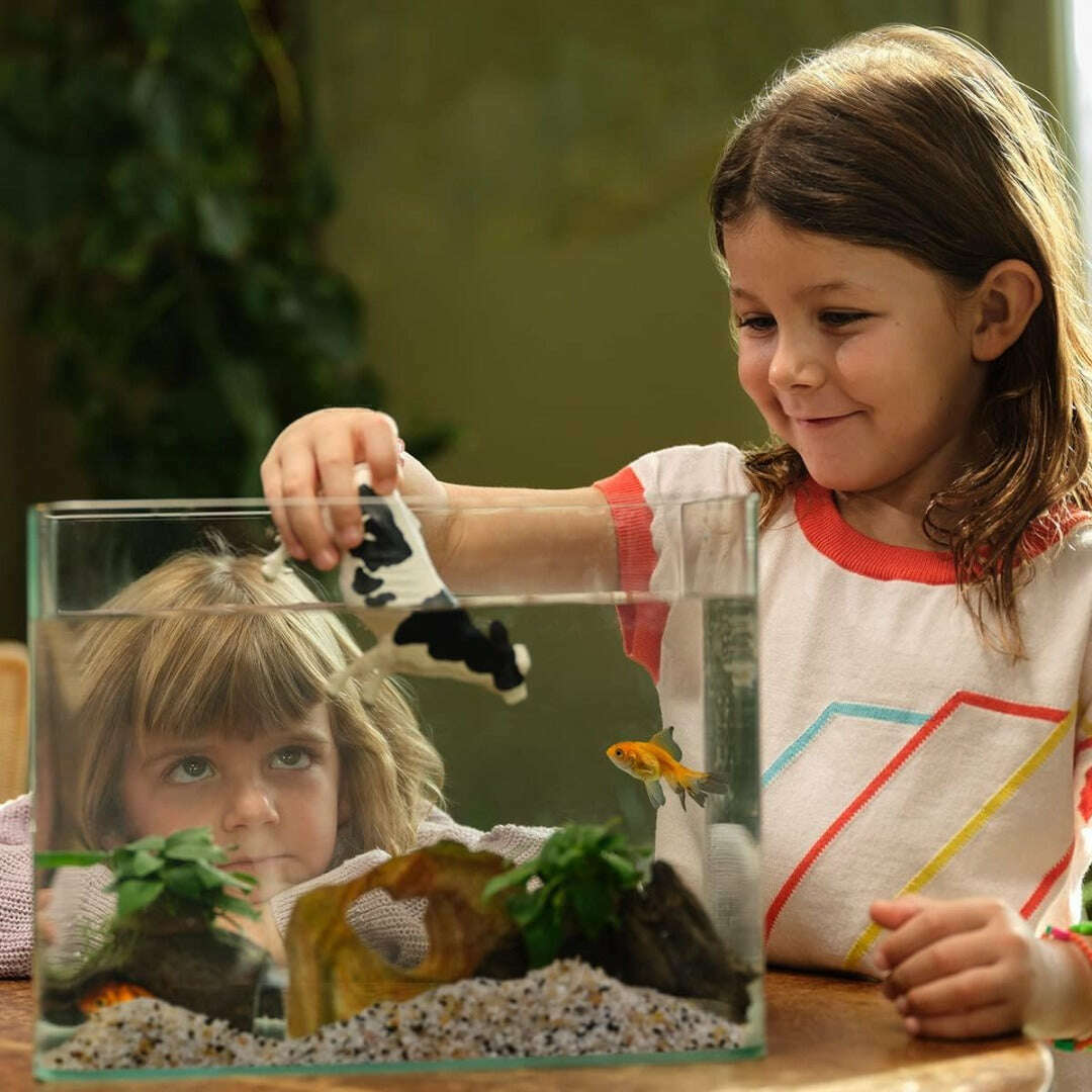 12667_9c316f6f-eace-4ef3-a8de-9f50e0143bb90