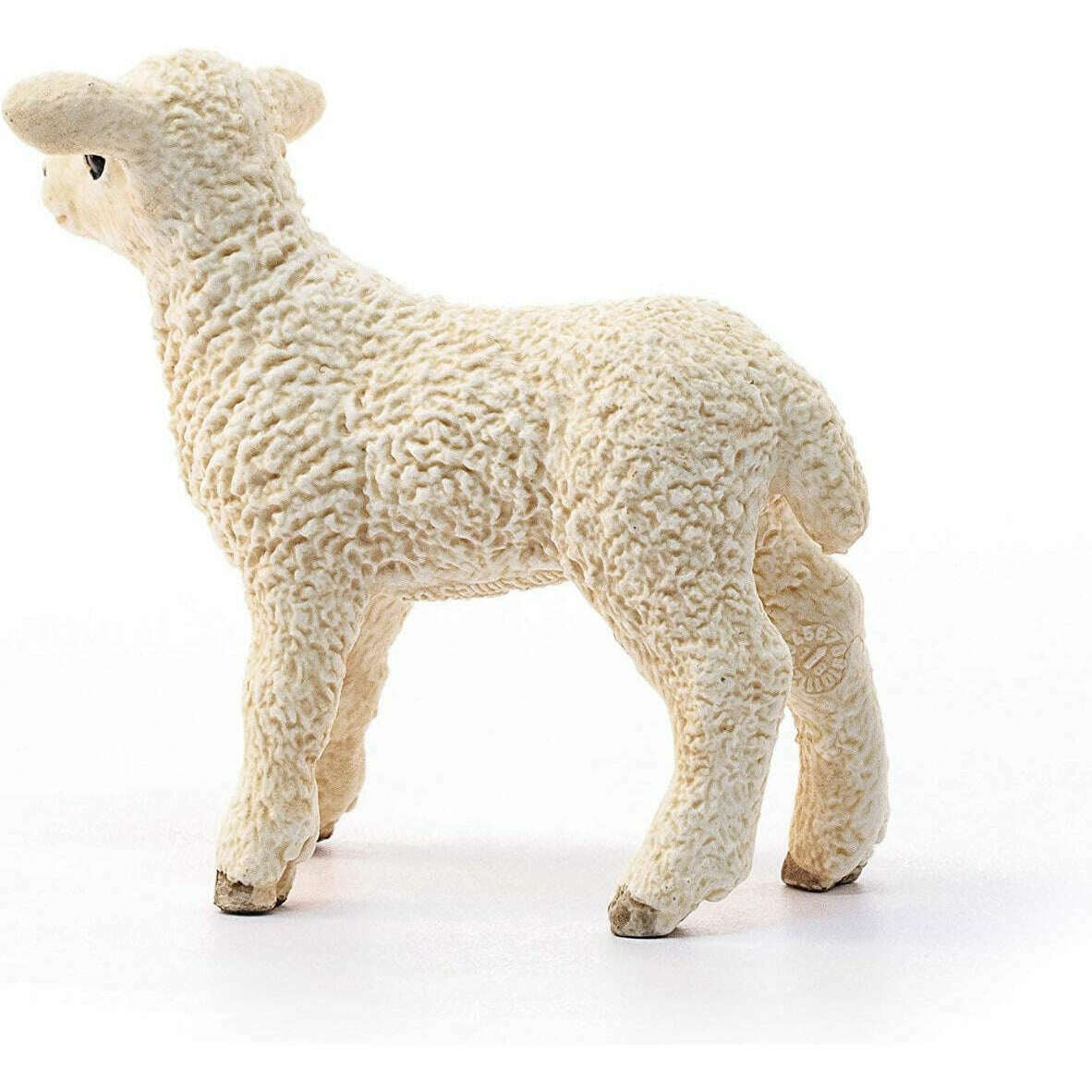 12673_93691363-5358-4405-a77e-c5d24f6711600