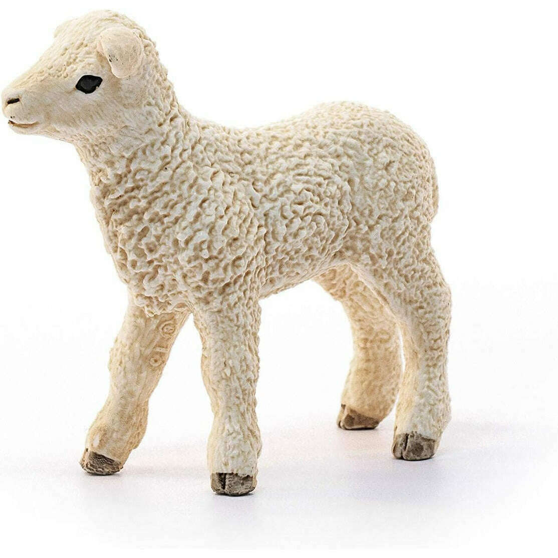 12673_b1b3d91a-ede2-484a-a7fb-c74c73b469d30