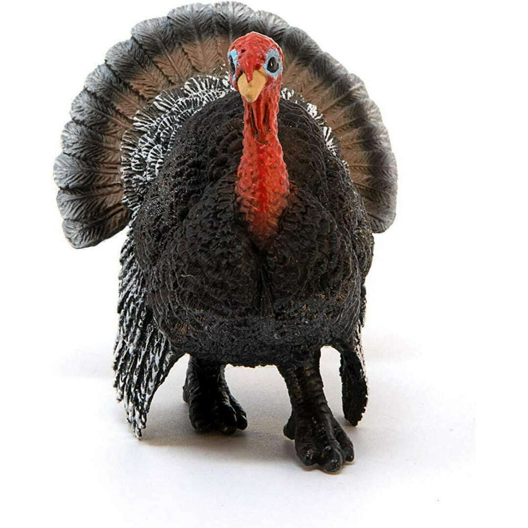 12676_e2cf25dd-75d0-4d79-b5f3-a6d03e77e7f50