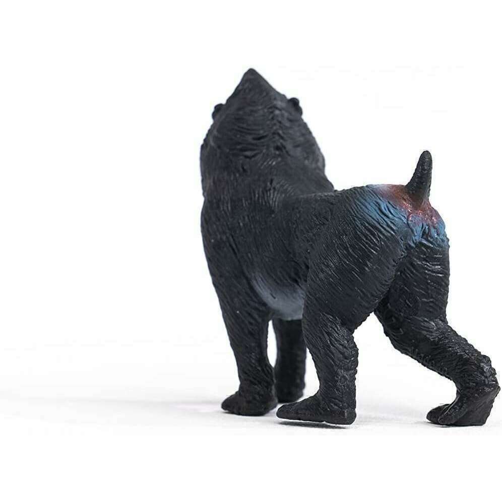 13376_100db4b8-857d-4d86-827a-5e481295b6090