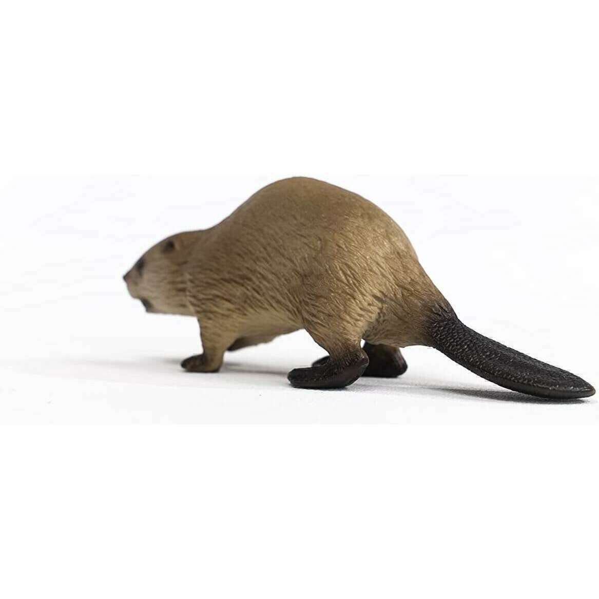 13698_b29f3793-7e0b-4886-98da-9332a992d7290