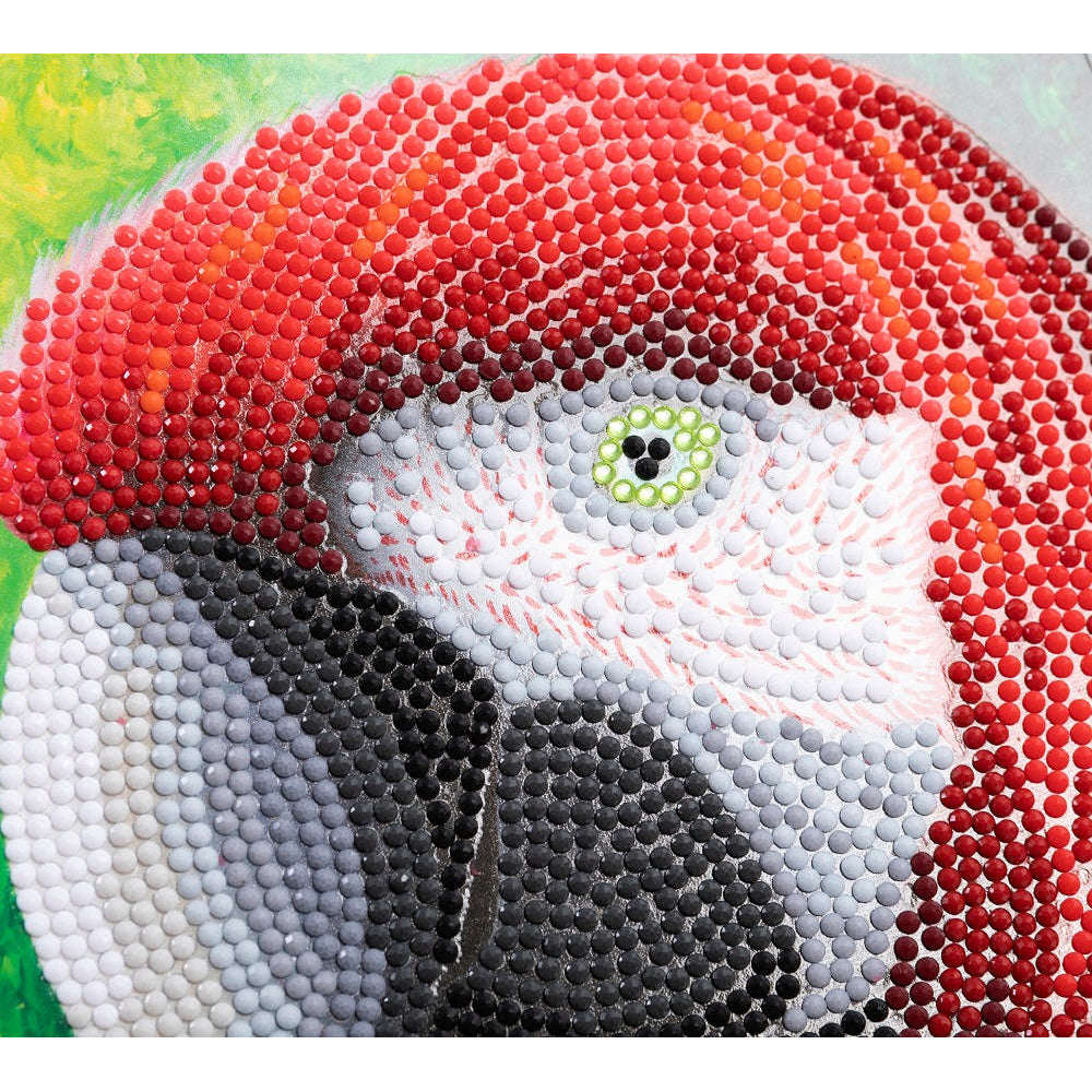 Toys N Tuck:Crystal Art Card Kit - Pretty Parrot,Crystal Art
