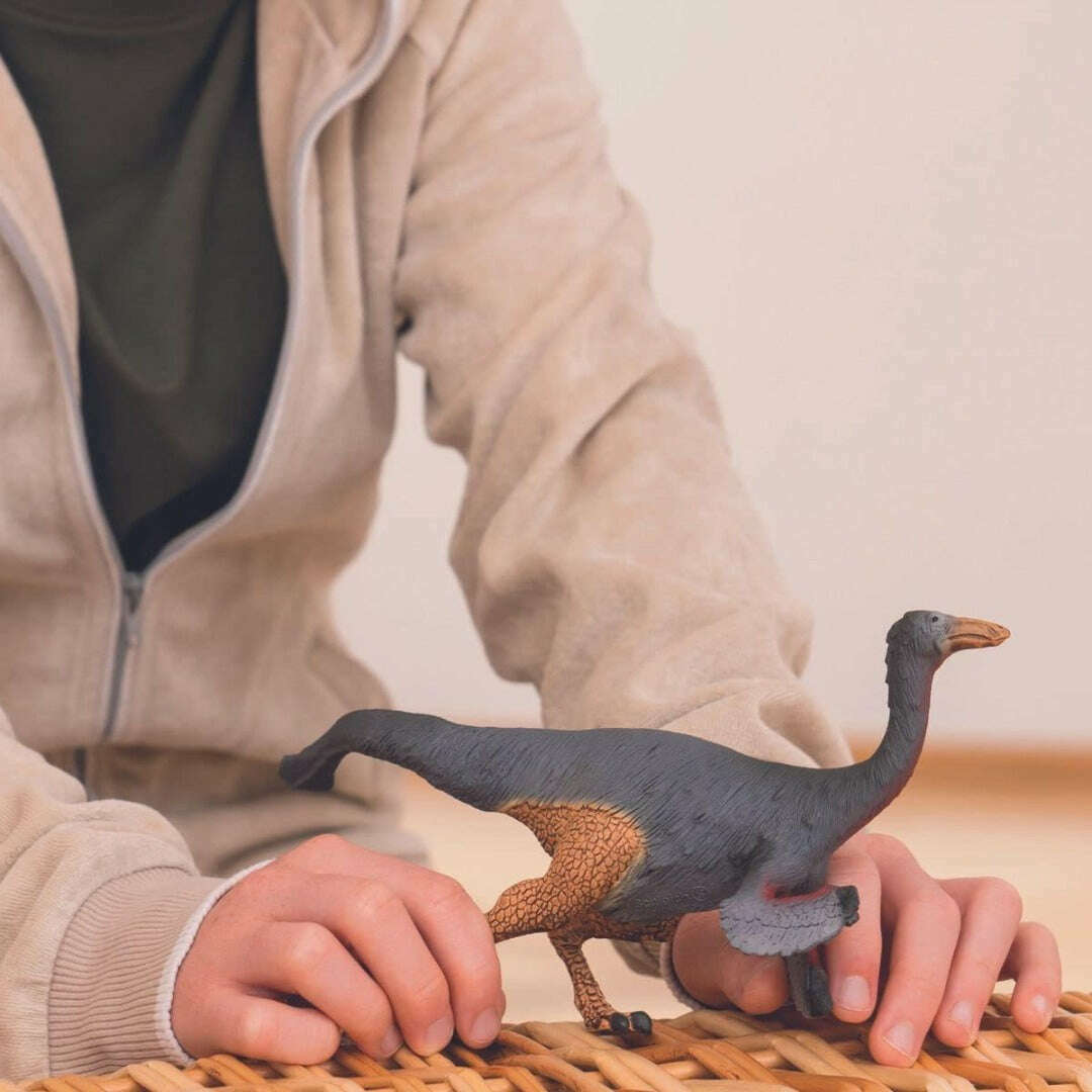 21434_e6ae1230-1563-4a0d-b876-71c66b02f9a20