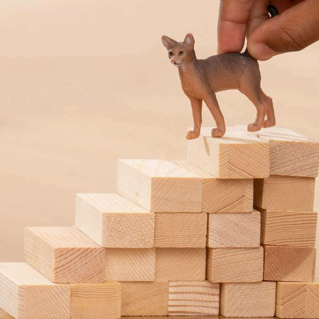 21461_8357fdc9-e988-4b6e-ac66-d65ef1c7b7100