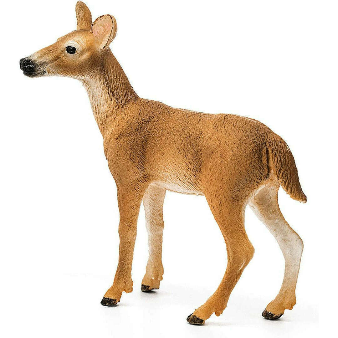 33271_db181aaf-afe1-4a34-9cdd-846a52e7568a0