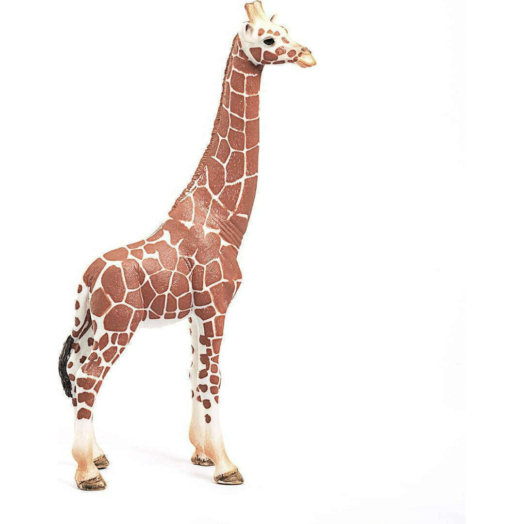 33273_fd96a683-d871-4d54-8512-8f849d665eea0