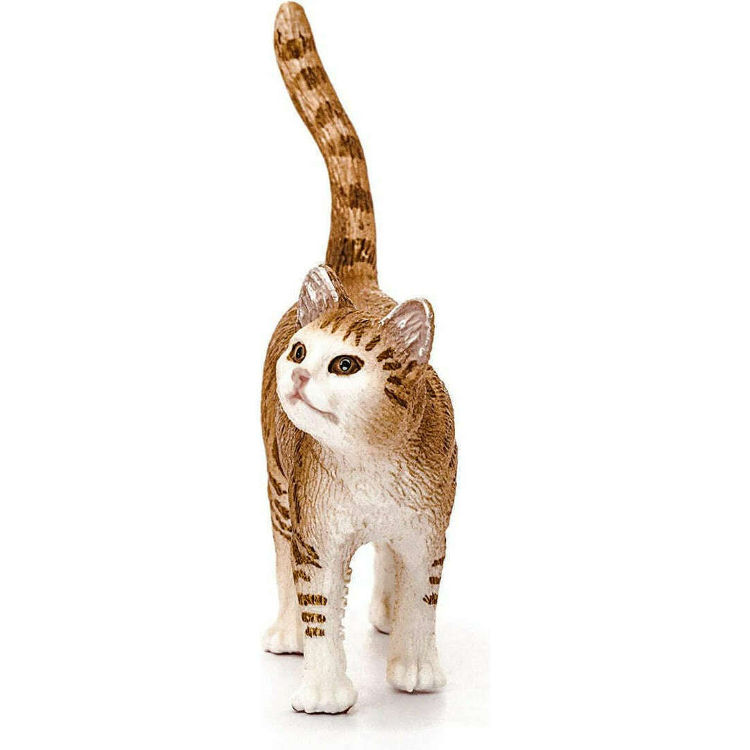 34344_6e54f187-6bbd-42da-b4dc-1b3ff27c3ddb0