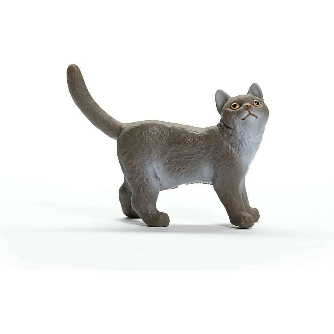 37531_88bd5e7a-f05b-43ed-ba5e-48931190a2b80