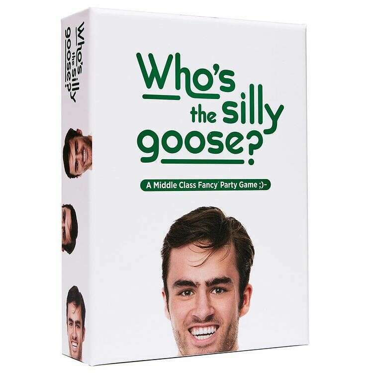Toys N Tuck:Who's The Silly Goose? Party Game,VR Games