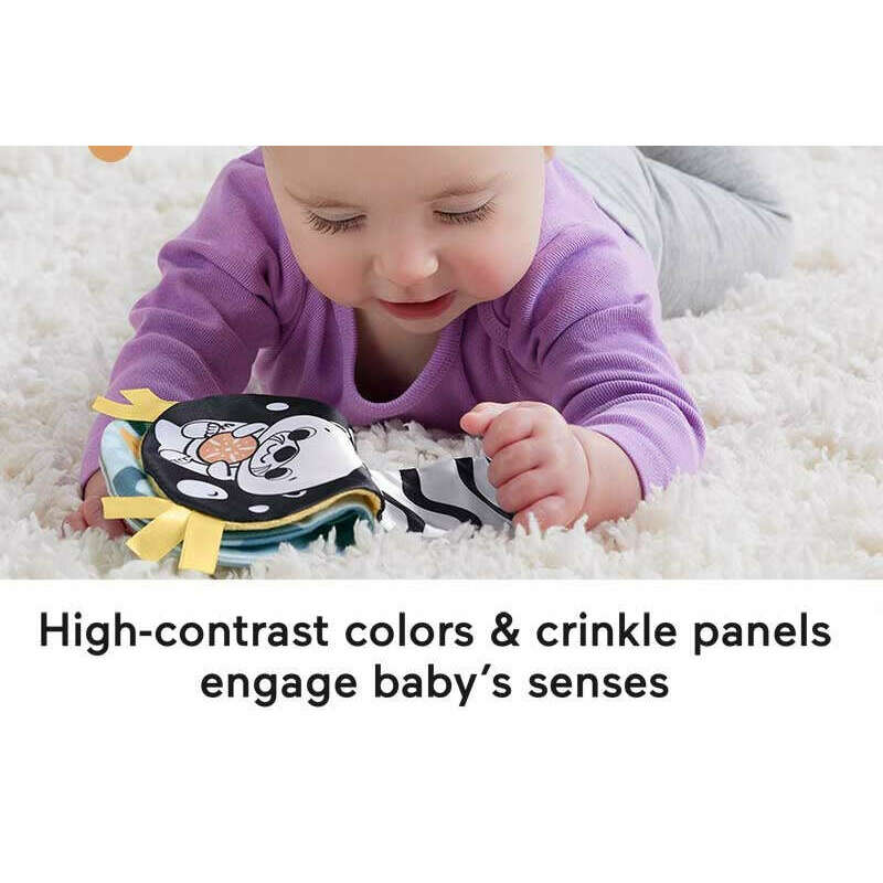 Toys N Tuck:Fisher Price 2 in 1 Rockin' Tummy Time Otter,Fisher Price