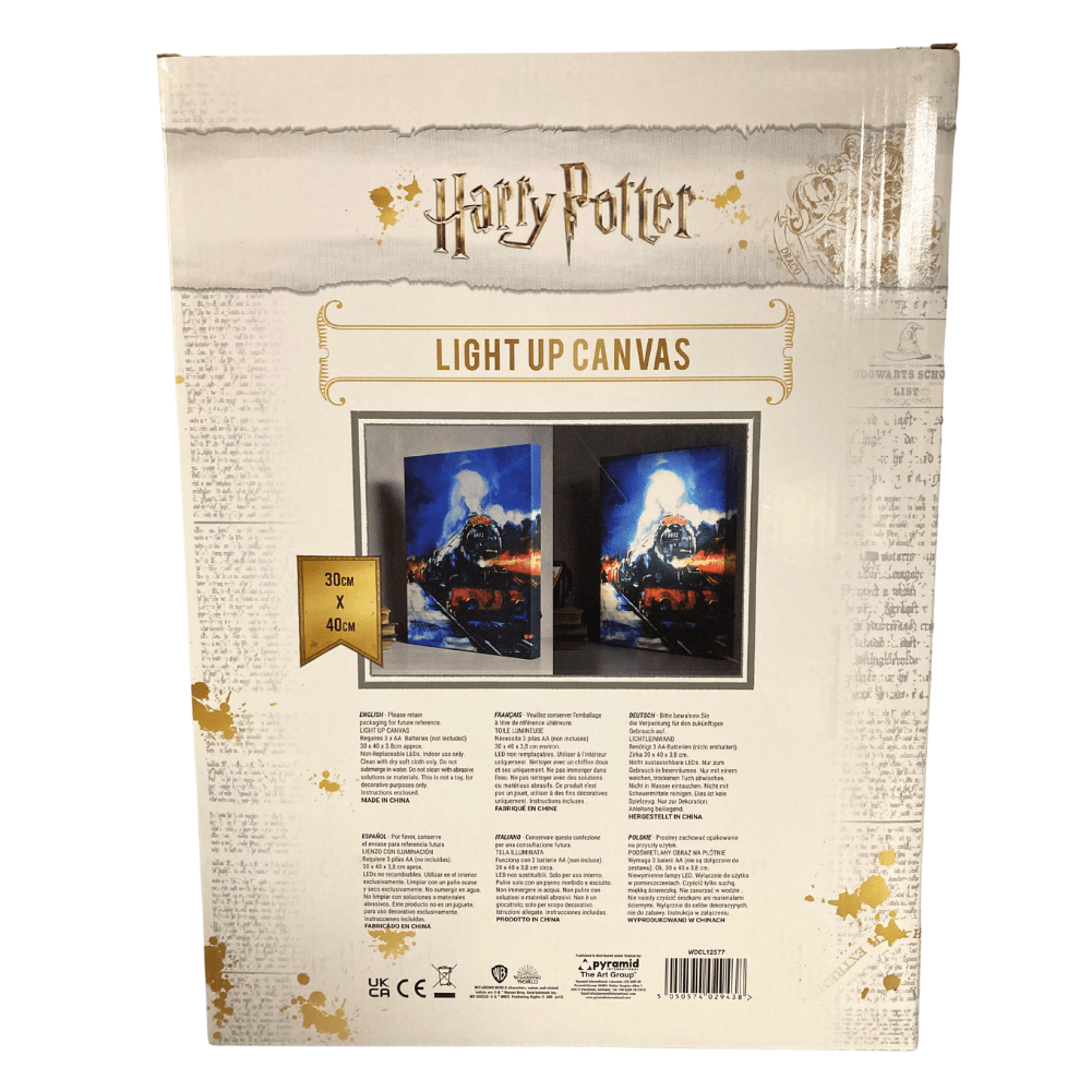 Toys N Tuck:Light Up Canvas Wall Art - Harry Potter,Harry Potter
