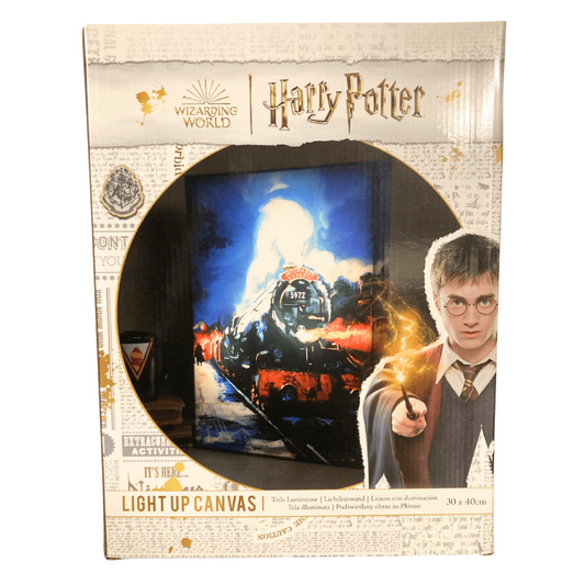 Toys N Tuck:Light Up Canvas Wall Art - Harry Potter,Harry Potter