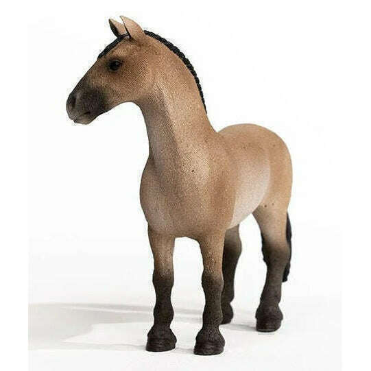 45639_a55ee98f-cfb0-4e78-b64a-1000b9fa89660