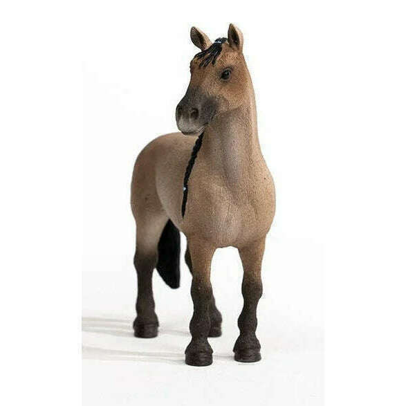 45639_b47fbbac-0bb3-4e03-819e-a4b98a87a6970