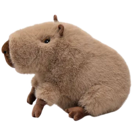 McHugs Peaceful Capybara