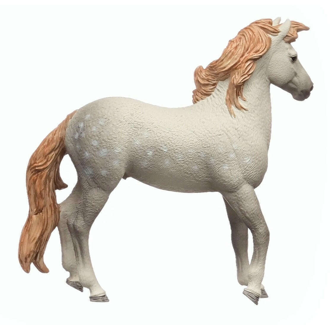 53454_5597a64b-8dd1-4e24-b991-890be772513e0