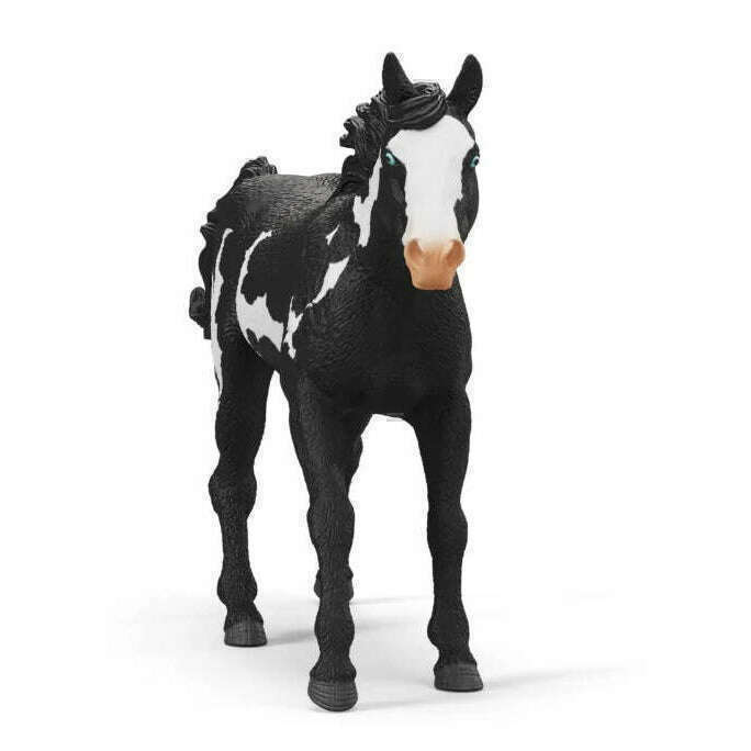 53456_96ca568e-05d4-40a8-acf4-192dbe8b6ca00