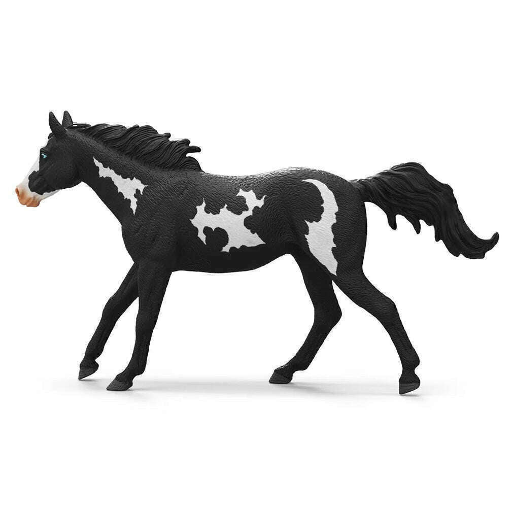 53456_a2e8144b-730a-417c-9a56-c0cdfa59b9b90