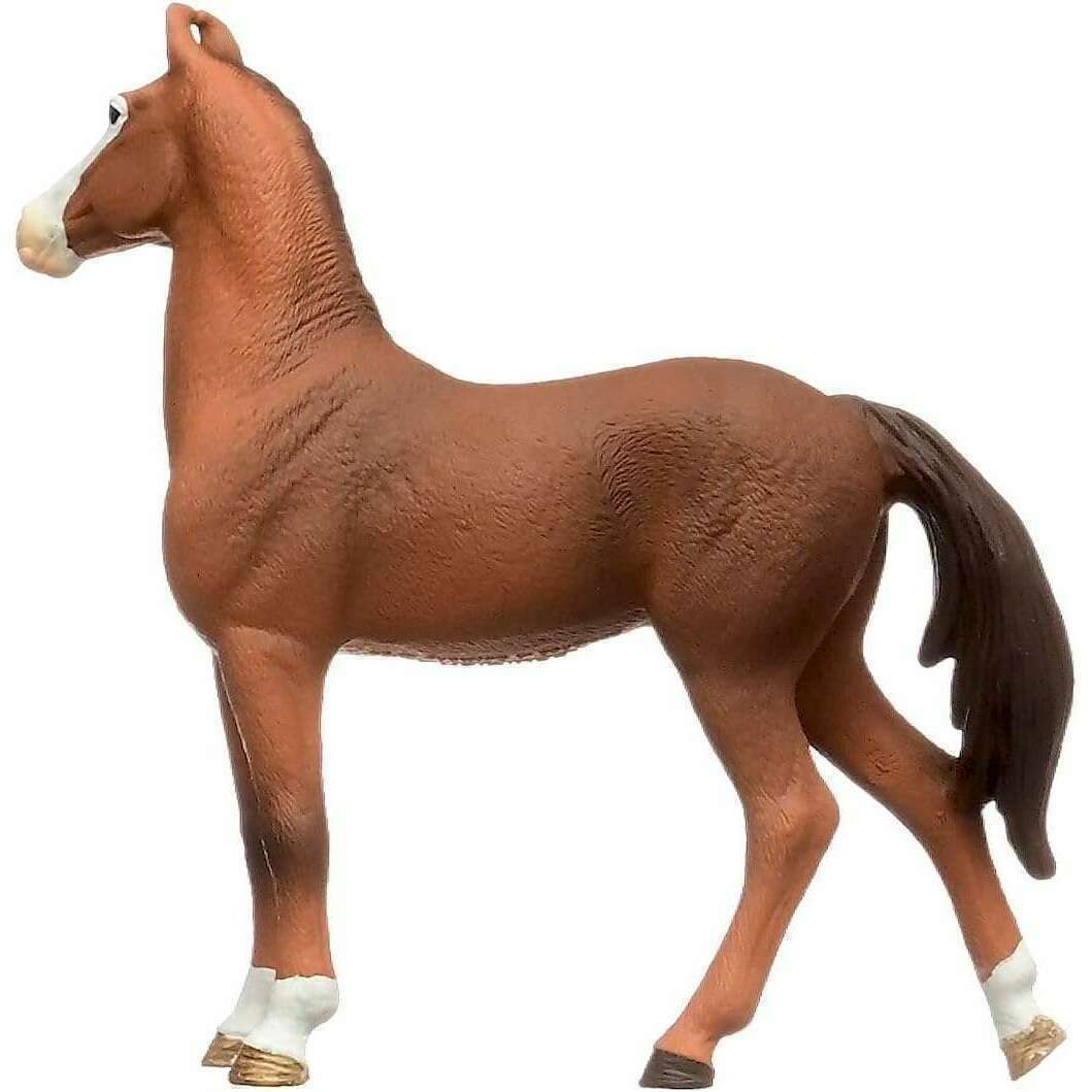 53457_94a85f3e-a5a6-452f-9007-a9b128acb5890