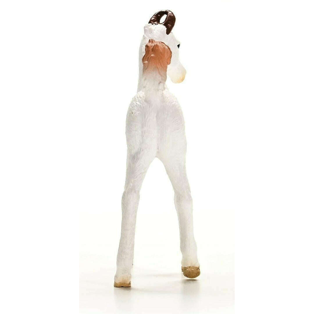 53458_0b017095-c7b9-45d1-80f0-5c49e8596cac0