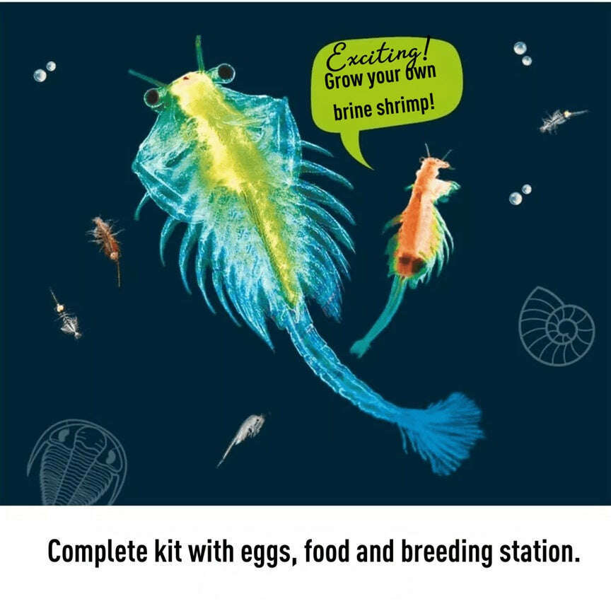 Toys N Tuck:Kosmos Sea Dogs,Kosmos