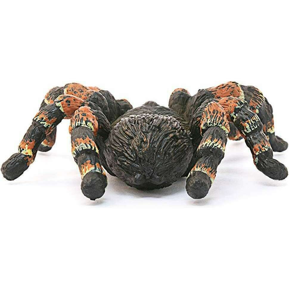 54902_c8be8749-9467-496d-9c86-7e893aecd5160