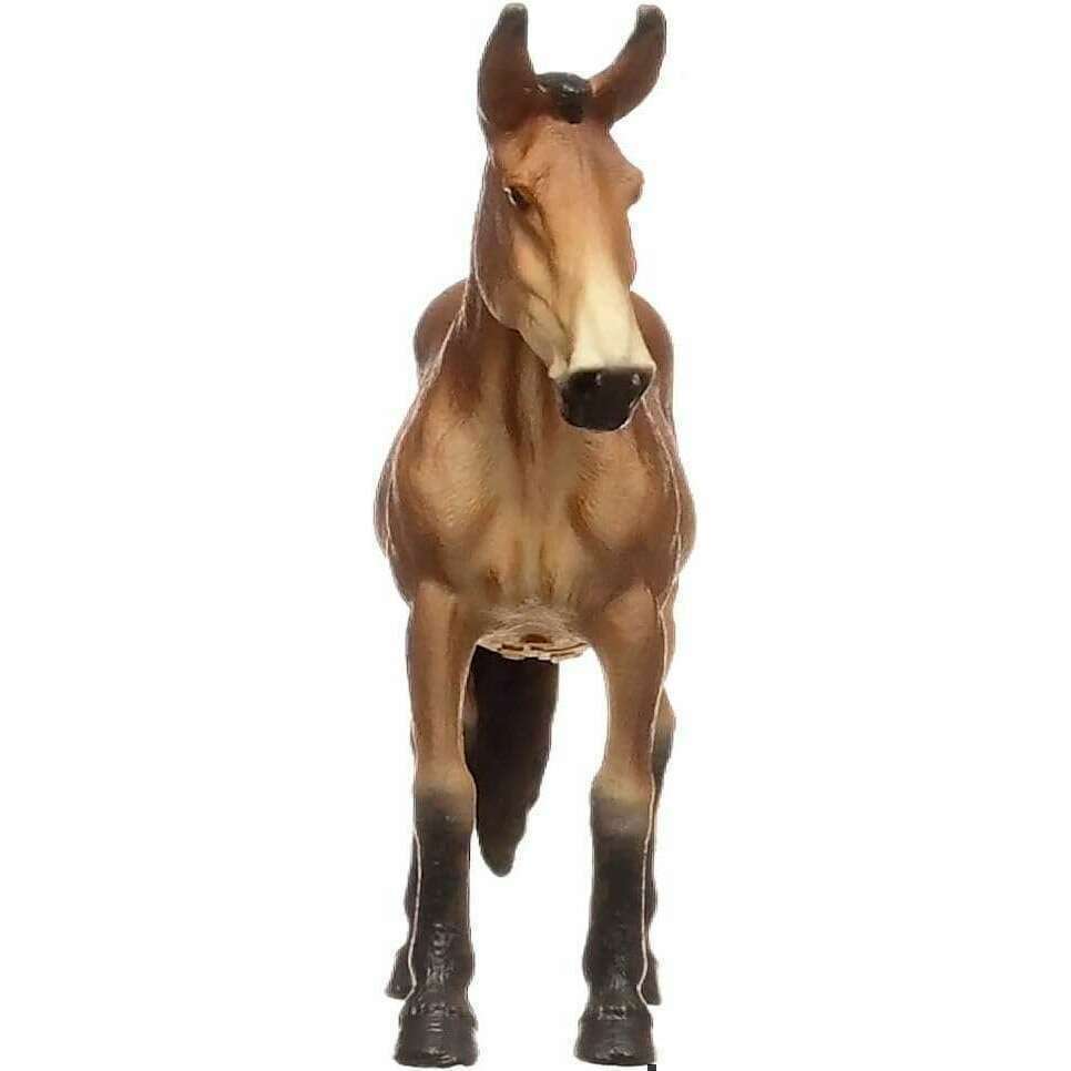 55020_78afa9de-6de8-4c4f-b7d7-0f8cdf56c3900