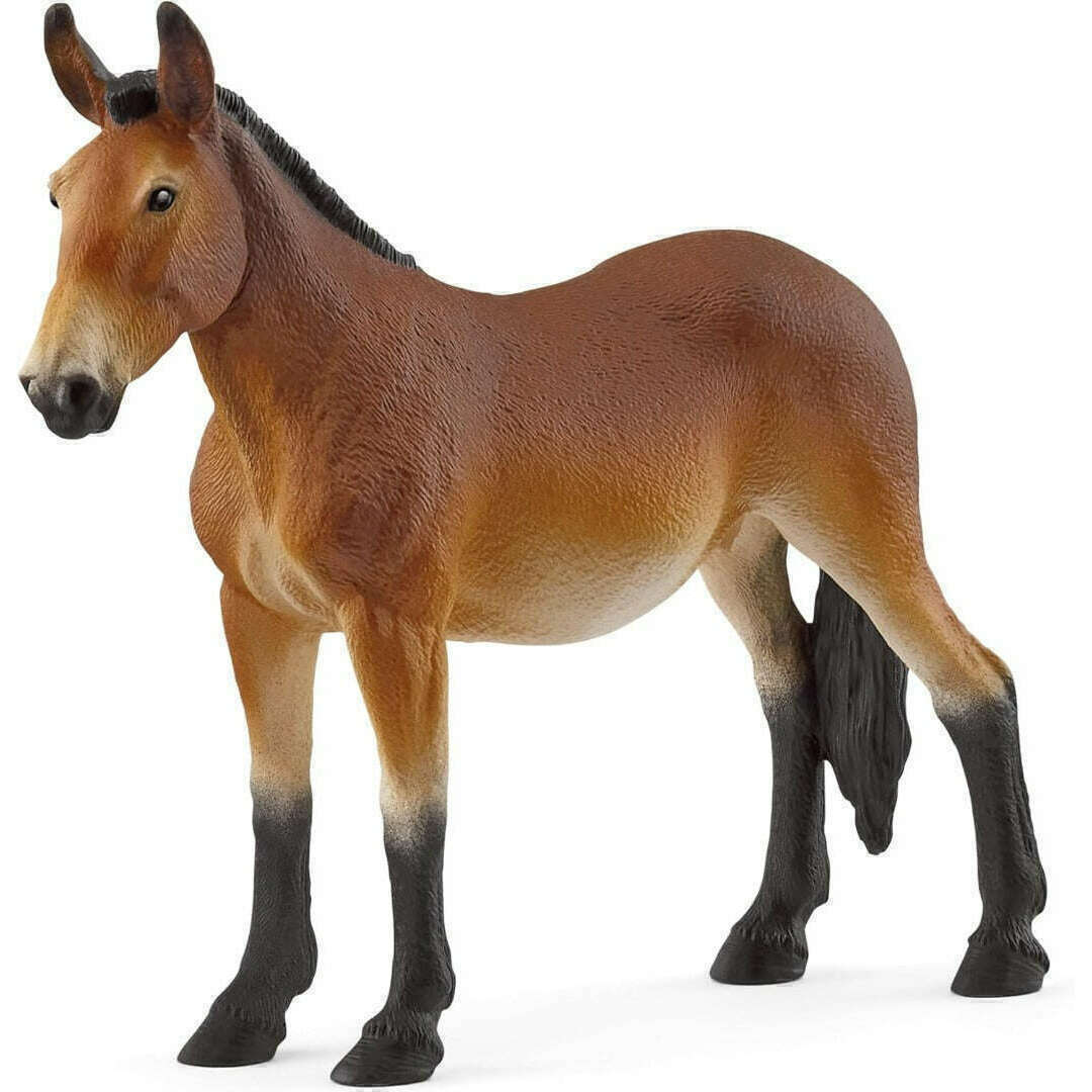 55020_ac916770-e61f-4d14-ae25-0f6786a607c40