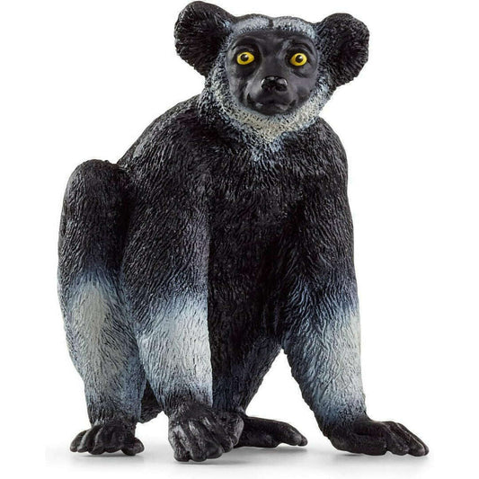 55023_69a7e889-290f-4289-ba31-caa3dc7841200