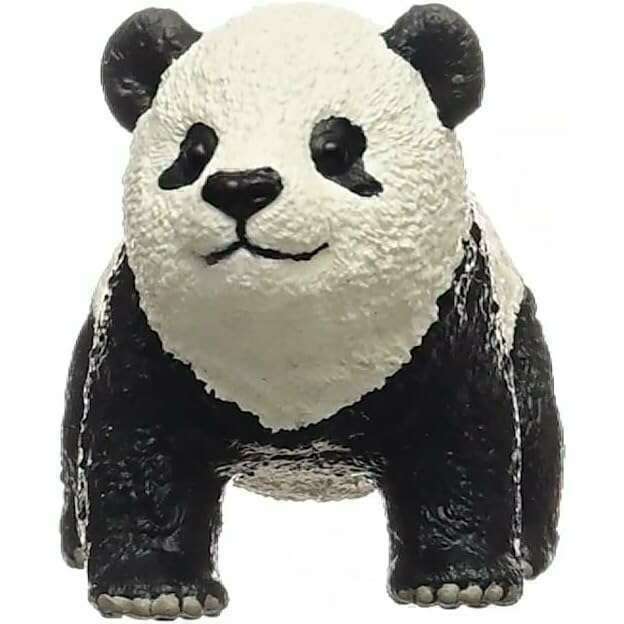 55024_169acd88-17cf-4a42-8d4c-b0c25fdde0aa0