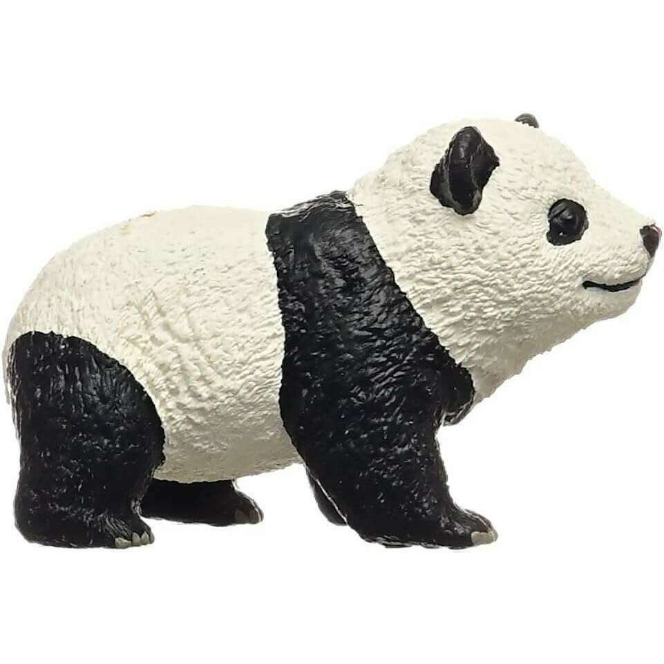 55024_428c5897-6776-4e6c-b1d6-9c851f097e800