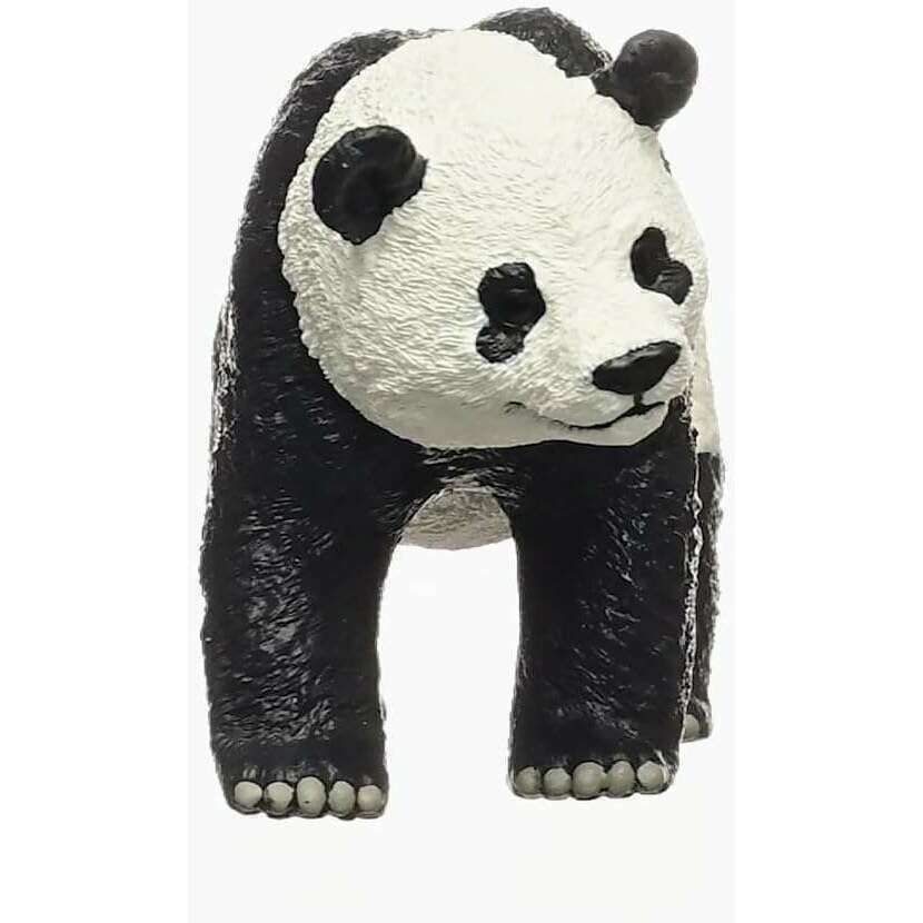 55025_1e24275c-a107-443f-9736-9035fde0f4220