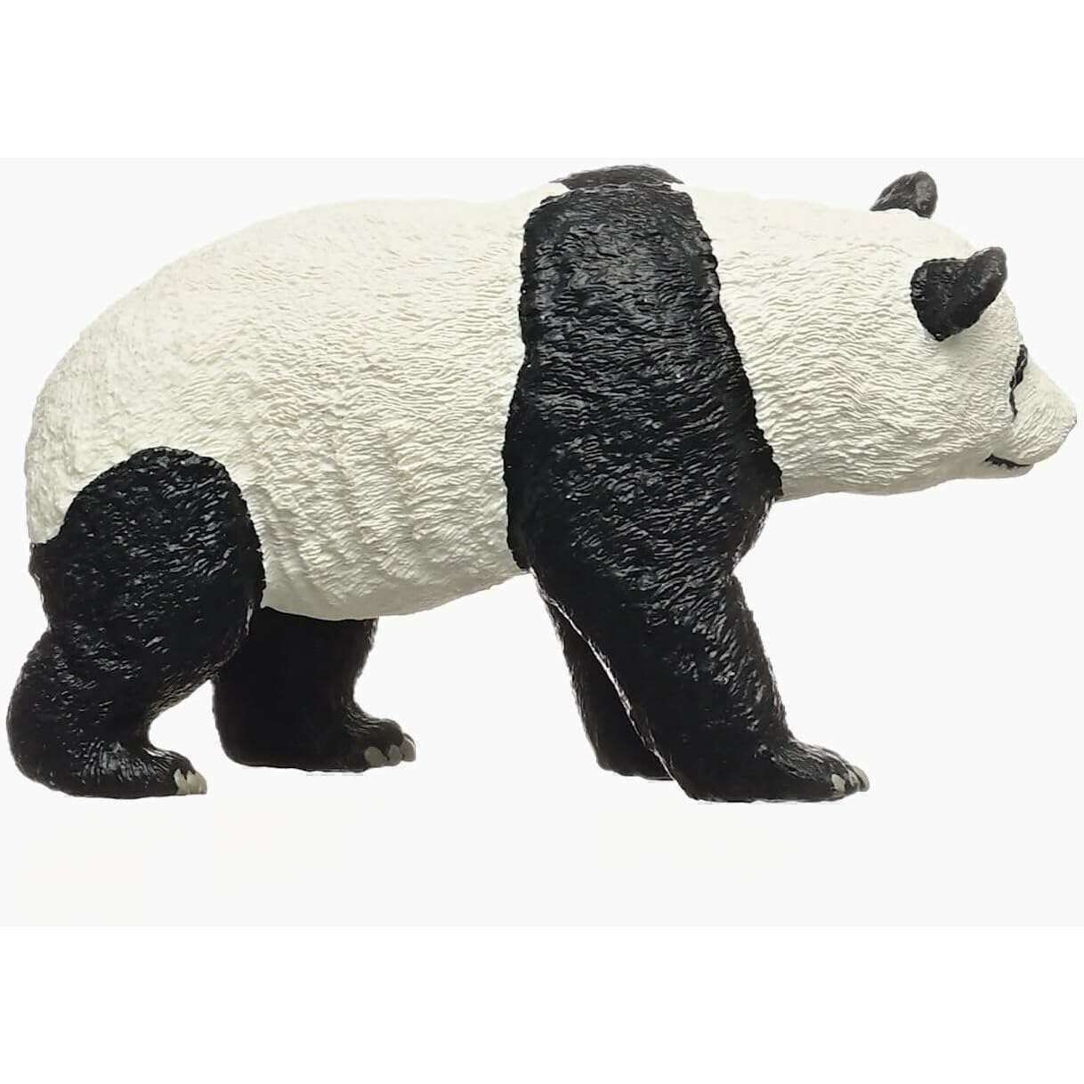 55025_c40d5a90-40f2-4262-8a68-5455386de8be0