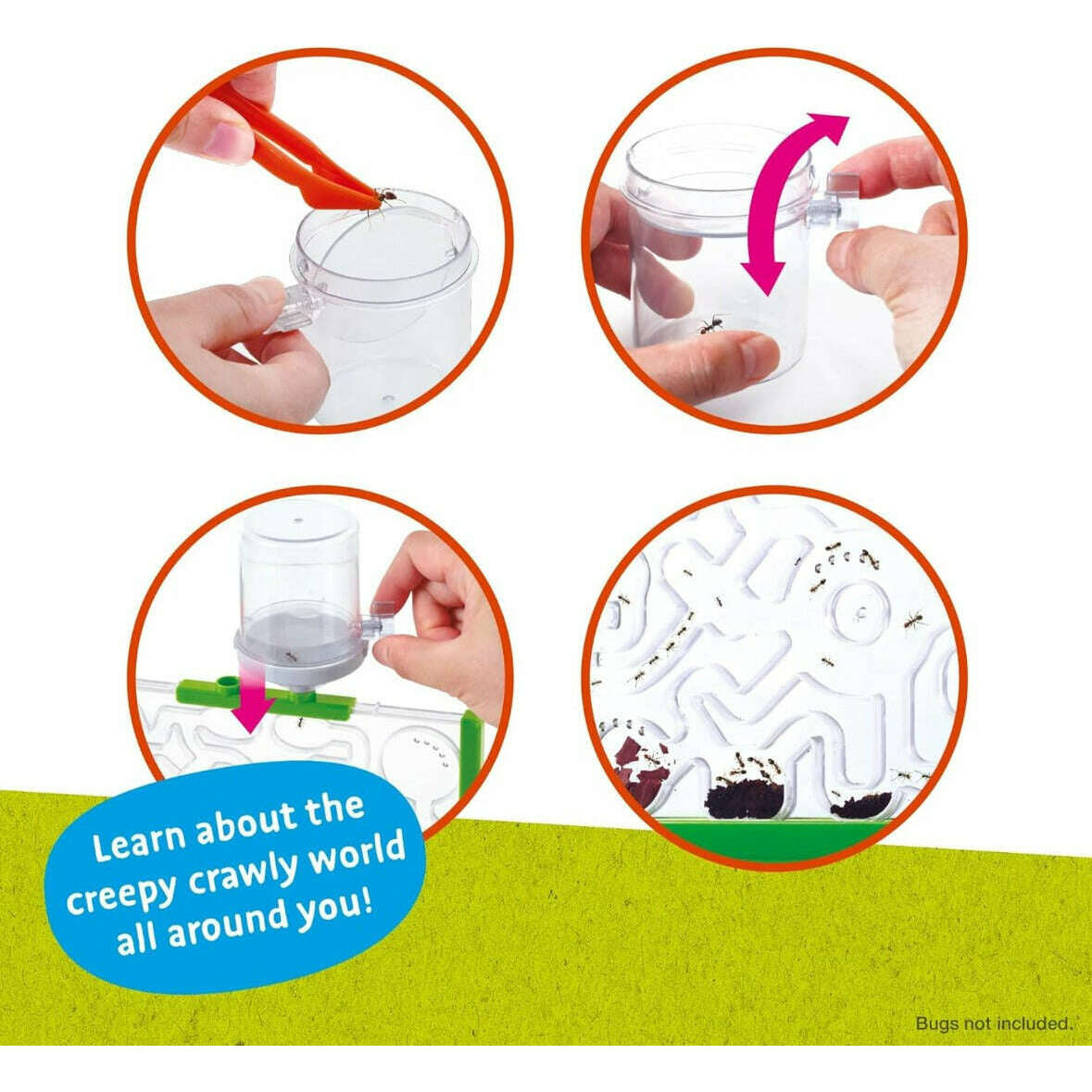 Toys N Tuck:Bug City Ant Farm,Bug City