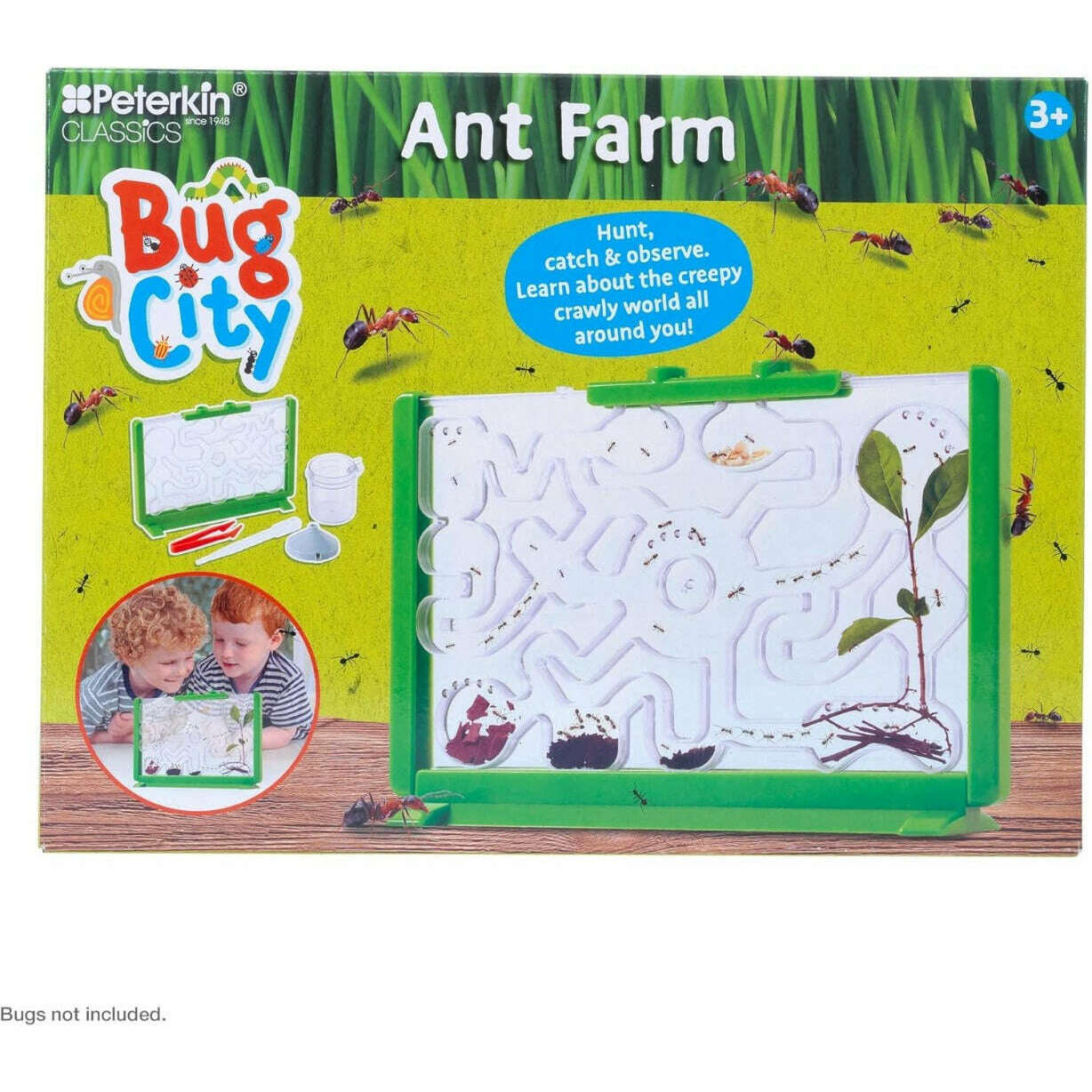Toys N Tuck:Bug City Ant Farm,Bug City