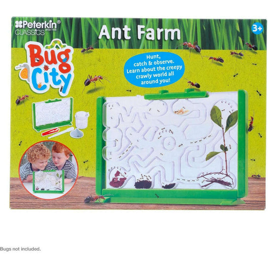 Toys N Tuck:Bug City Ant Farm,Bug City