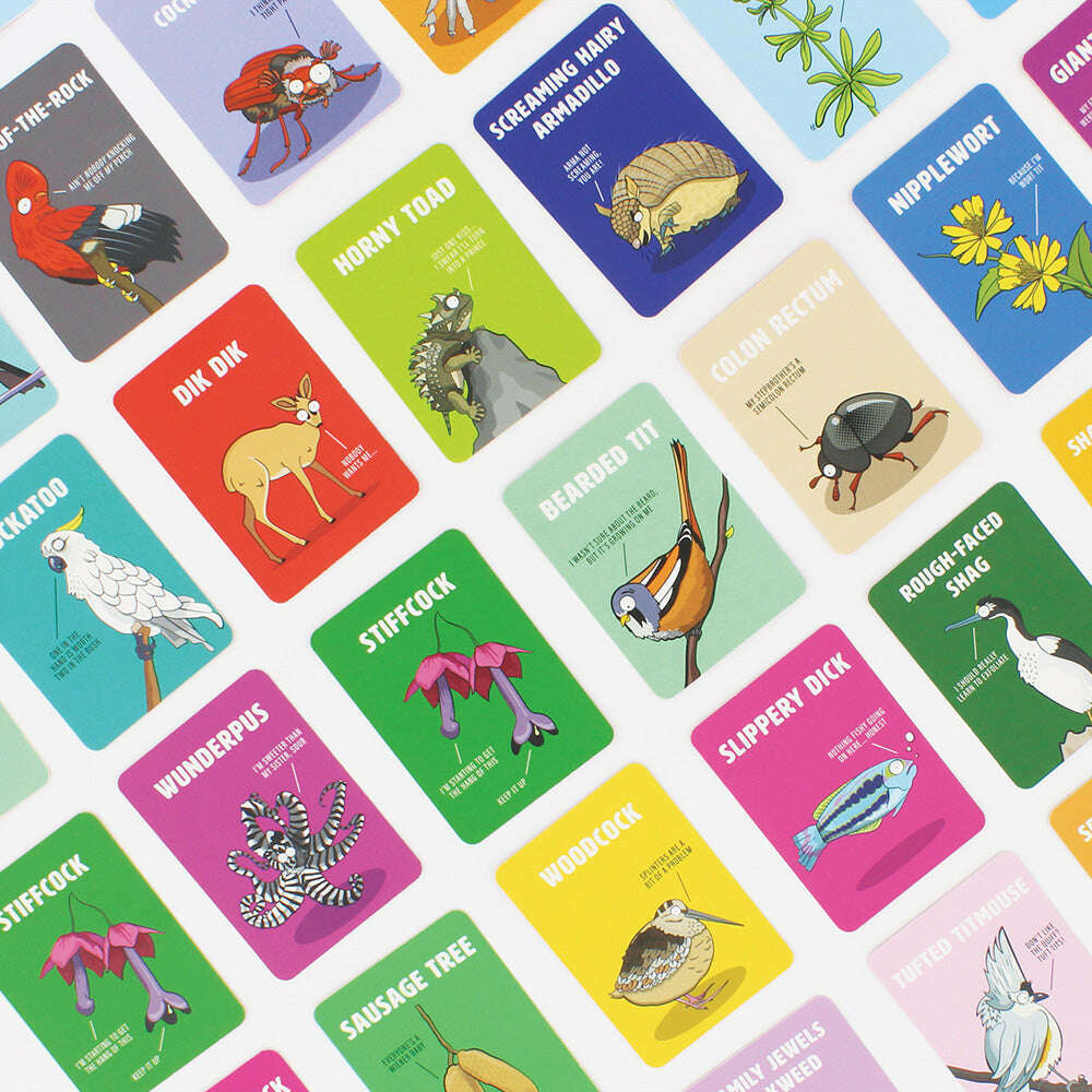 Toys N Tuck:Don't Be A Dik DIk,Don't Be A Dik DIk