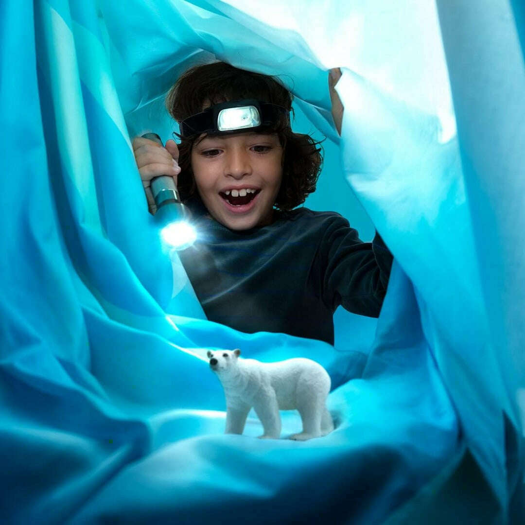 56650_30dd4a14-c065-4297-a246-a812ef545acd0