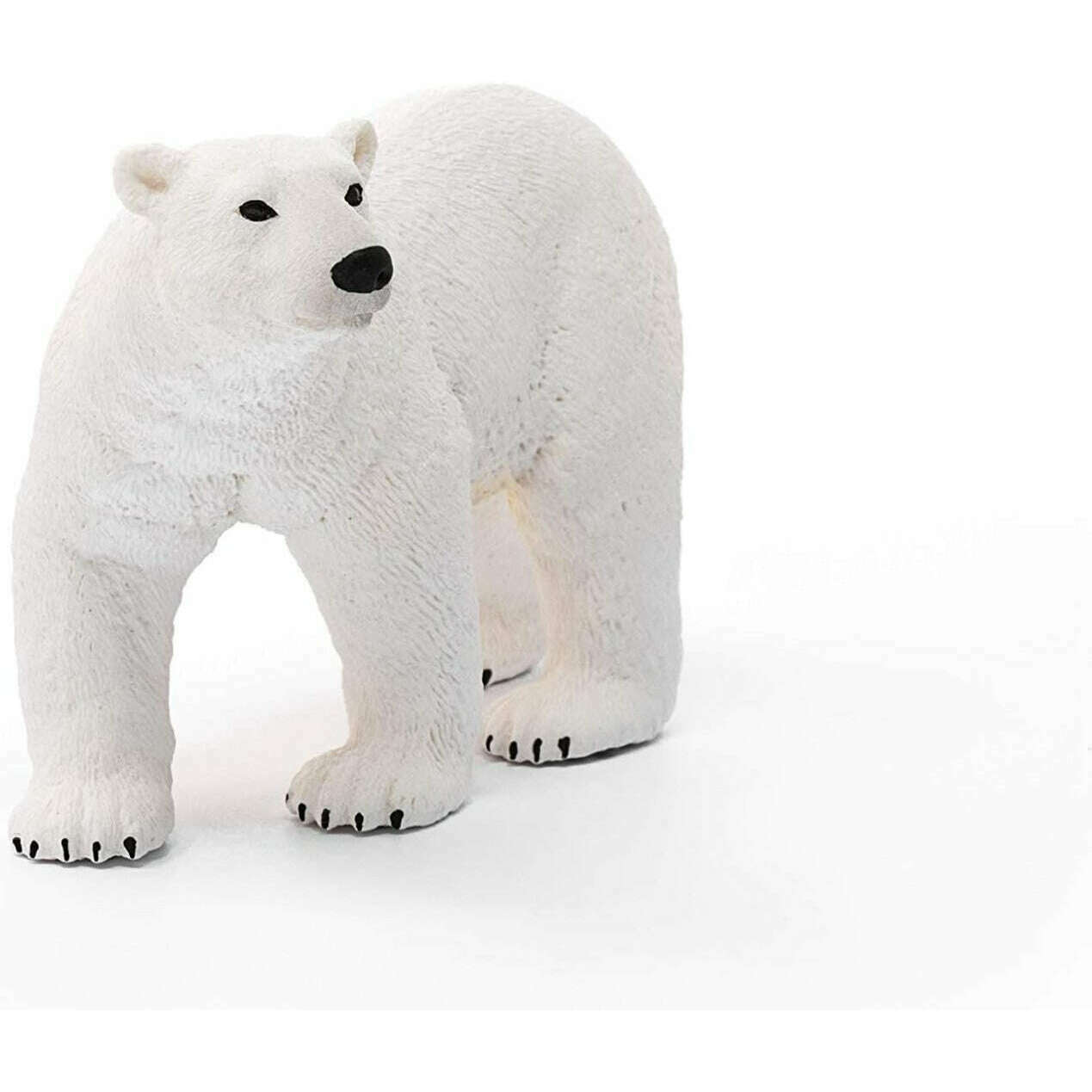 56650_c503ed3c-f7ec-43b0-b8ba-9e6a396023c40