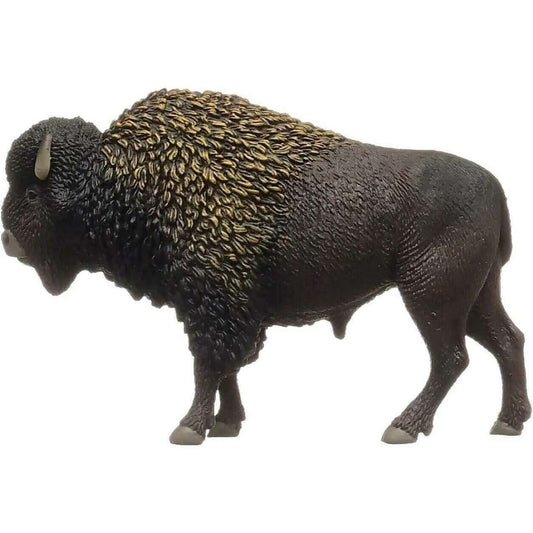 57388_4ae06097-adad-4f87-8c03-bf06b3e3ca4e0