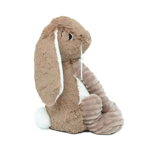 58129_fddc942e-9037-4c21-ba1a-25b9ce1874e30