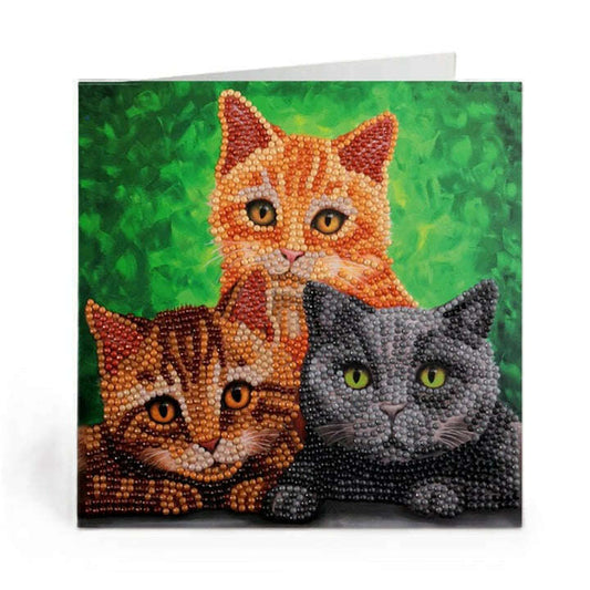 58768_88aa61c6-979e-41d3-82a5-23c7918728220