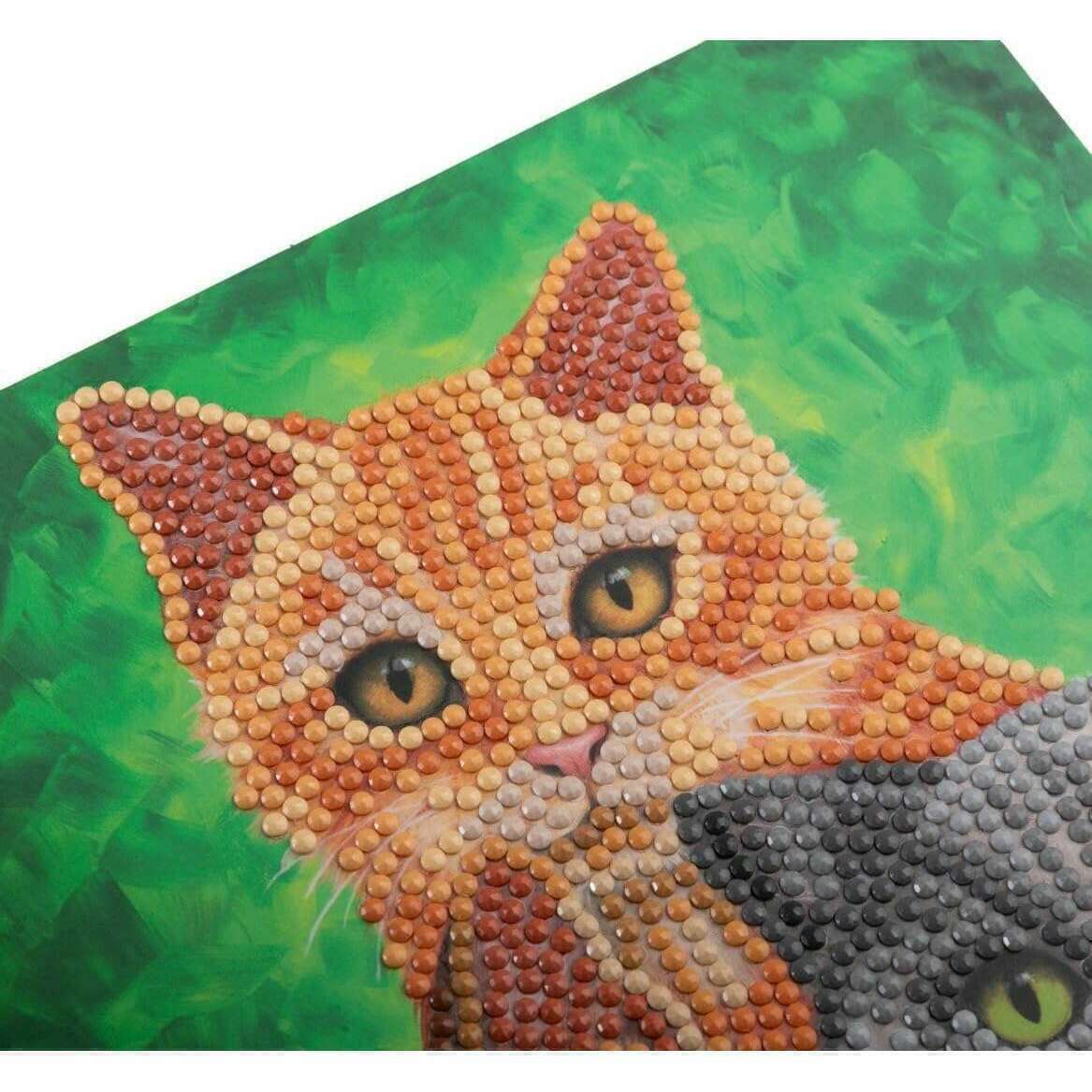 58768_af98bb9b-62fa-448e-b514-ed850f04d6a80