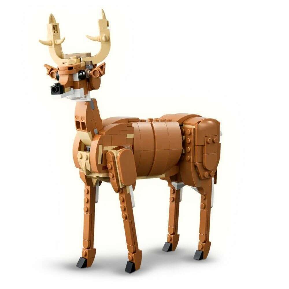 59020_2a242e18-0dab-45e5-bad5-54582f7e16540