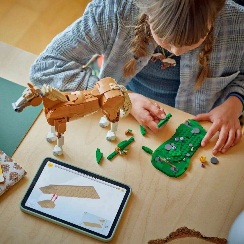 59020_8f6df93d-0aba-4035-ae0a-58b68e428a0b0