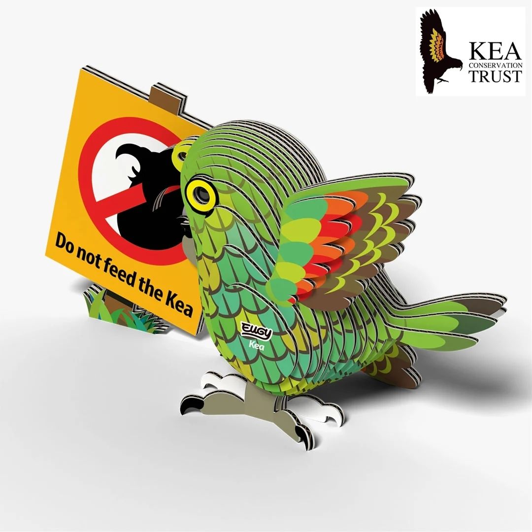Eugy 3D Model 047 Kea