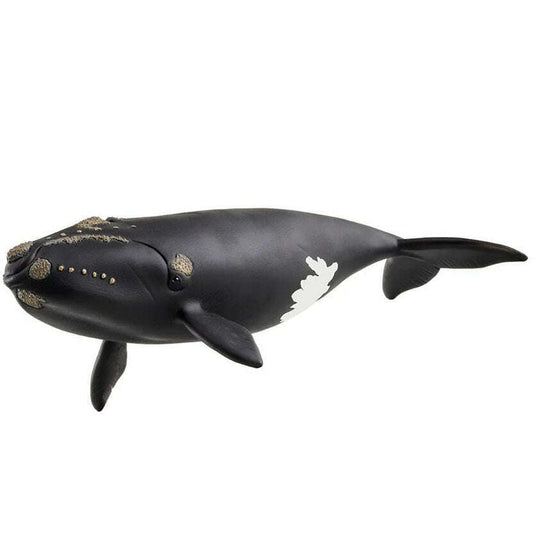 60597_c6b30640-86b5-48f7-9384-4eb82b1404250