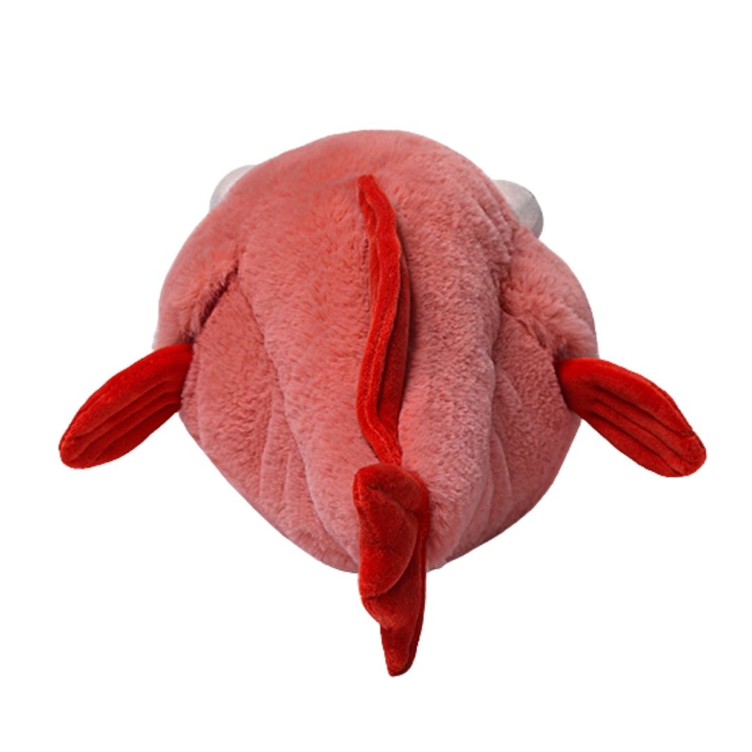 McHugs Doomy Blobfish 25cm Plush